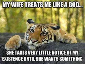 10151889_10152413855892533_7261739263260680186_n