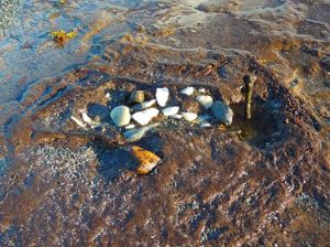 10289834_862749813758850_2012774481870058747_n-1