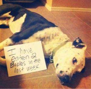 150040_10152363507682533_987465295_n