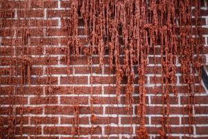 3037733-slide-s-7-this-life-sized-wax-house-will-melt-over-the7alex-chinneckmelting-housecredit-tommophoto