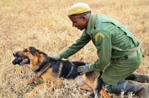 86144_990x742-cb1416488902