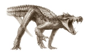 Cretaceous-Crocodyliforms-010