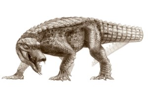 Cretaceous-Crocodyliforms-011