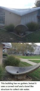 daily_picdump_1674_640_high_46