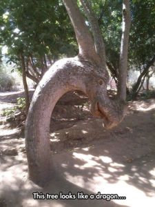 morning_picdump_643_640_29