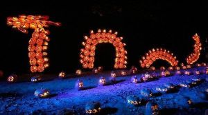 morning_picdump_644_640_14