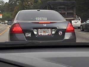 morning_picdump_648_640_52