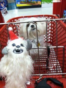 morning_picdump_649_640_22