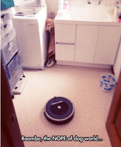 Screen Shot 2014-10-26 at 10.57.14 PM