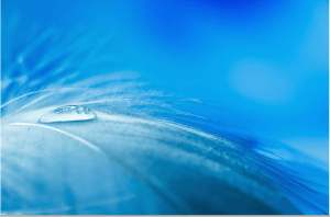 Screen Shot 2014-10-31 at 6.36.32 PM