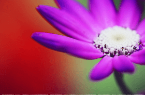 Screen Shot 2014-10-31 at 6.38.43 PM