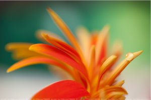 Screen Shot 2014-10-31 at 6.52.33 PM