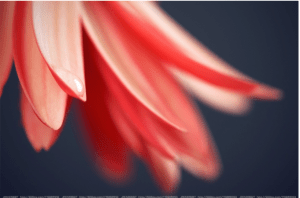 Screen Shot 2014-10-31 at 6.52.57 PM