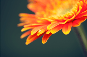 Screen Shot 2014-10-31 at 6.53.07 PM