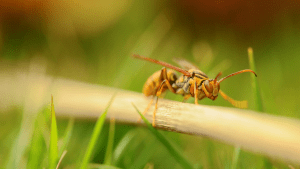 Screen Shot 2014-10-31 at 6.54.07 PM