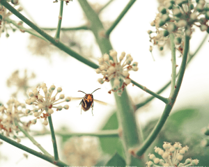 Screen Shot 2014-10-31 at 6.54.19 PM