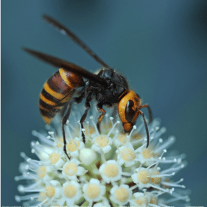 Screen Shot 2014-10-31 at 6.54.29 PM