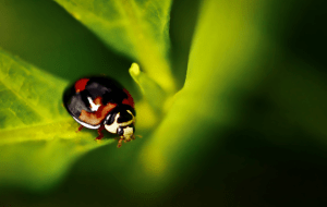 Screen Shot 2014-10-31 at 7.13.24 PM