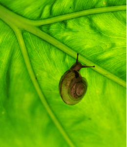 Screen Shot 2014-10-31 at 7.14.10 PM