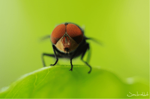 Screen Shot 2014-10-31 at 7.14.22 PM