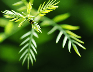 Screen Shot 2014-10-31 at 7.21.22 PM