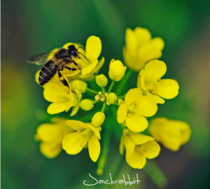 Screen Shot 2014-10-31 at 7.21.41 PM