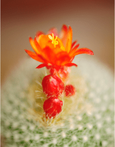 Screen Shot 2014-10-31 at 7.21.57 PM