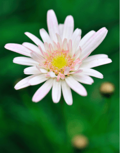 Screen Shot 2014-10-31 at 7.22.12 PM