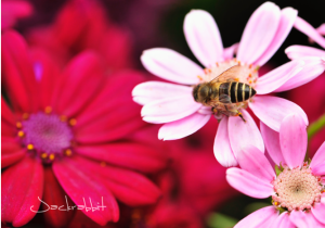 Screen Shot 2014-10-31 at 7.22.25 PM