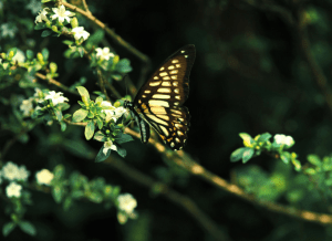 Screen Shot 2014-10-31 at 7.22.36 PM