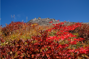 Screen Shot 2014-10-31 at 7.23.50 PM