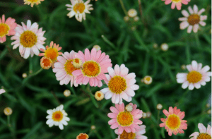 Screen Shot 2014-10-31 at 7.25.59 PM