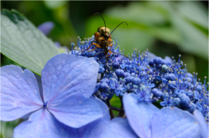 Screen Shot 2014-10-31 at 7.26.10 PM