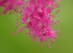 Screen Shot 2014-10-31 at 7.27.42 PM