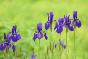 Screen Shot 2014-10-31 at 7.28.50 PM