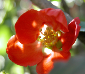 Screen Shot 2014-10-31 at 7.31.21 PM