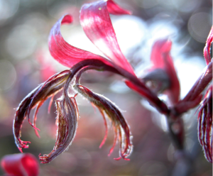 Screen Shot 2014-10-31 at 7.31.37 PM