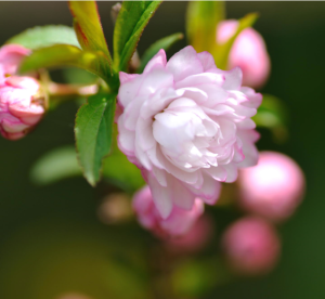 Screen Shot 2014-10-31 at 7.31.51 PM