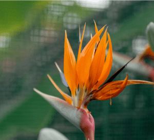 Screen Shot 2014-10-31 at 7.33.02 PM