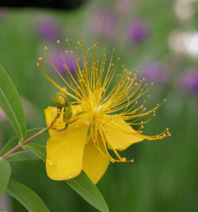 Screen Shot 2014-10-31 at 7.33.22 PM