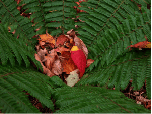 Screen Shot 2014-10-31 at 7.35.57 PM