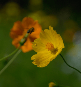 Screen Shot 2014-10-31 at 7.37.23 PM