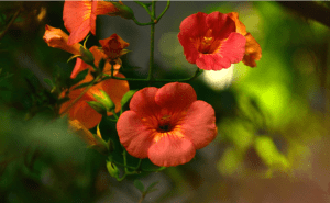 Screen Shot 2014-10-31 at 7.38.09 PM