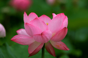 Screen Shot 2014-10-31 at 7.38.33 PM