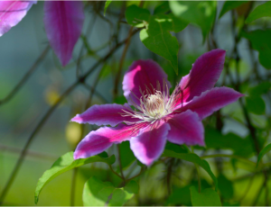 Screen Shot 2014-10-31 at 7.39.50 PM