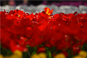 Screen Shot 2014-10-31 at 7.41.41 PM