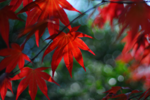 Screen Shot 2014-10-31 at 7.41.53 PM