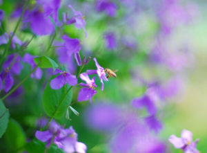 Screen Shot 2014-10-31 at 7.42.07 PM