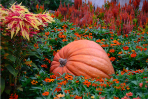 Screen Shot 2014-10-31 at 7.47.47 PM