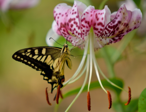 Screen Shot 2014-10-31 at 7.52.38 PM